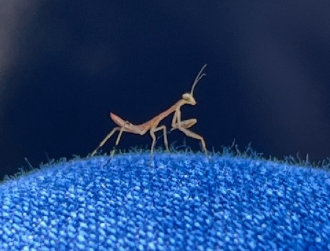 tinnny friend copy.JPG